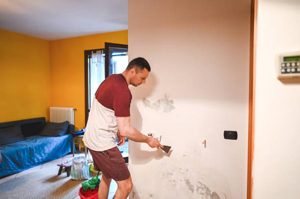 Best Certified Mold Removal  in Piney Green, NC